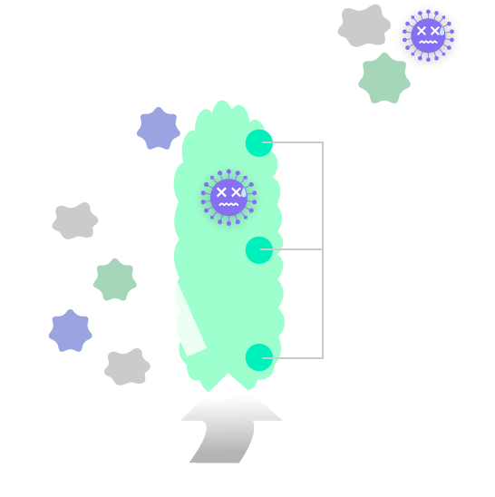 Conventional UV Products