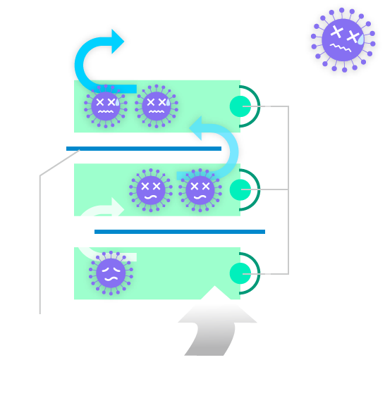UVC MEISTER